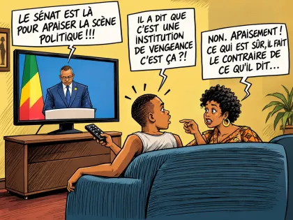 Notoriété et influence à la tête de l'Etat: Le sénat, le paravent pour le pouvoir dans  le pouvoir