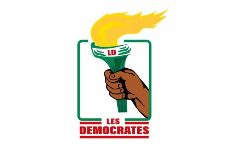 DCC 24-040 de la CC :« absconse » et « inadmissible », selon LD.