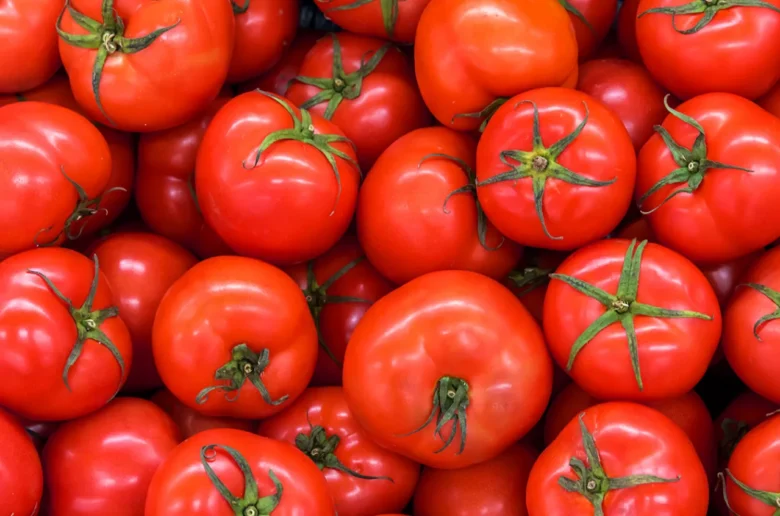Campagne de tomate 2024 : Les producteurs déboussolés face à la mévente