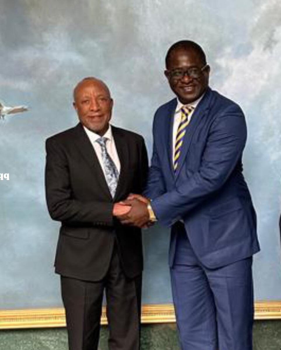 Investissement en Afrique : Moïse Kérékou reçu par le Président namibien