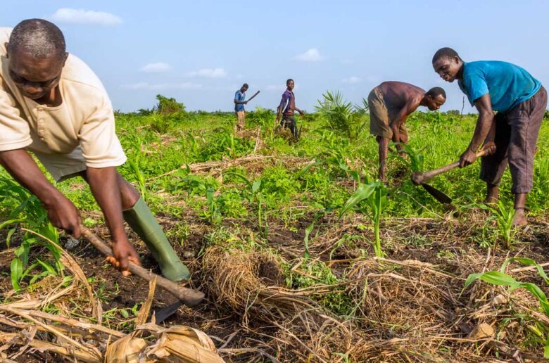Éditorial : Billet retour à l'esclavage agricole