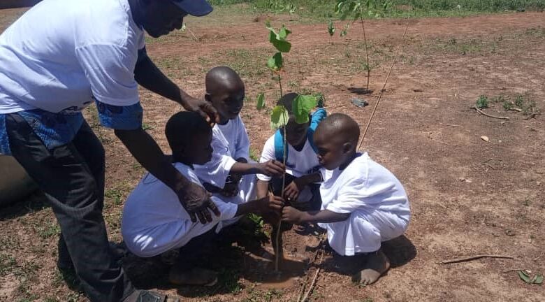 Journée mondiale de l’environnement à Djougou :Le RB/PMJE met en terre deux cents plants à l’Epp Kanougou