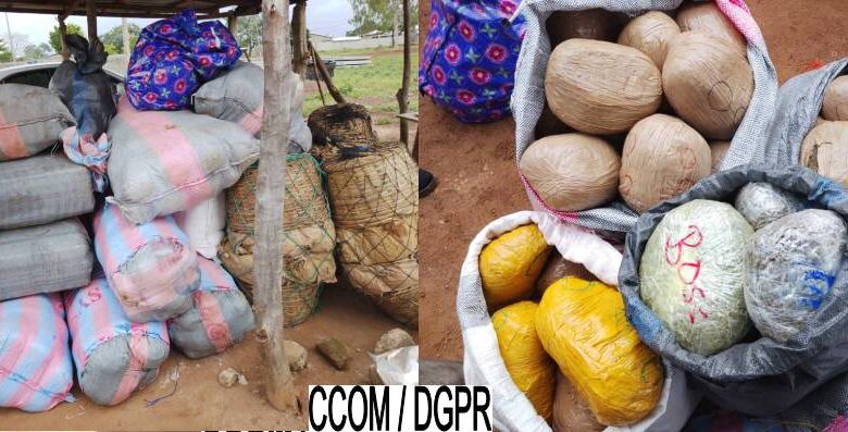 Trafic de drogue au Bénin: Plus d’une tonne de stupéfiants saisis à Sèmèrè