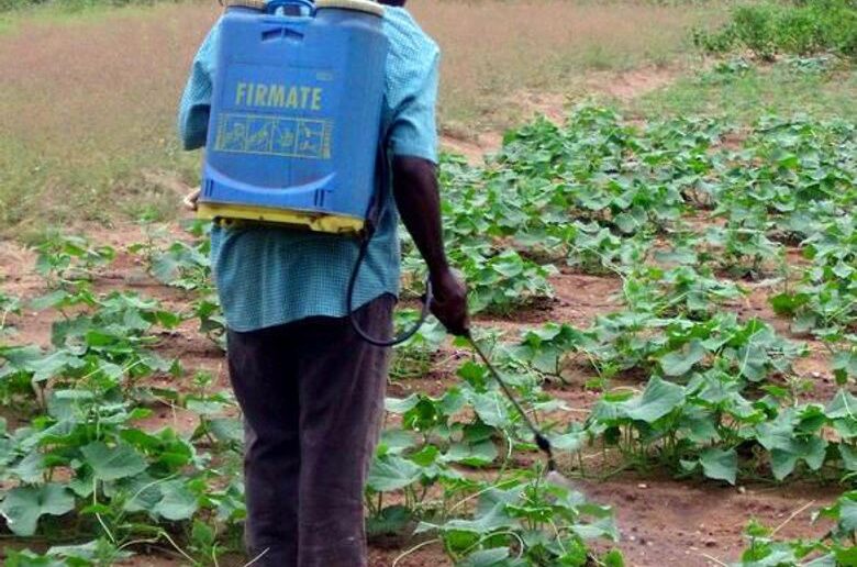Phytosanitaire au Bénin : Le gouvernement  interdit aux services techniques publics de proposer des prestations à titre onéreuses