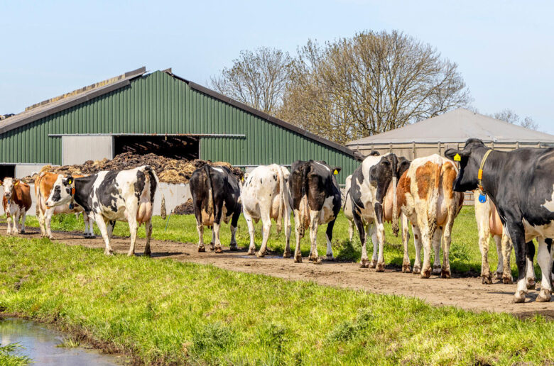 Enseignement technique : De nouvelles offres de formations disponibles dans les lycées agricoles dès la rentrée 2026