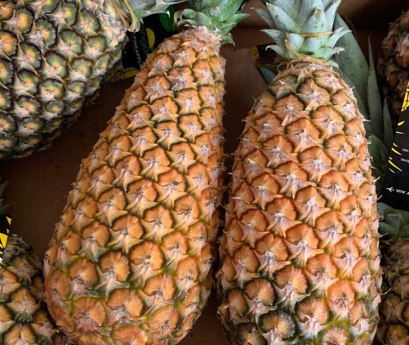 Agroalimentaire : l'ananas béninois rejeté en France