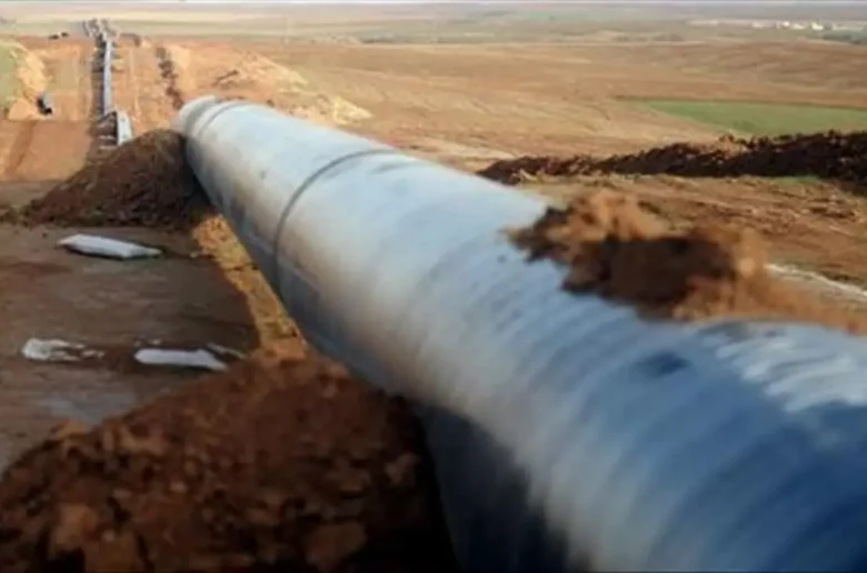 Conseil des ministres : Pipeline Niger-Bénin, culture et afro-descendants au cœur des décisions