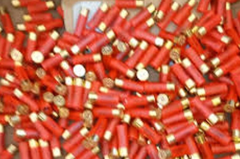 Lutte contre fraude douanière : 3000 cartouches de chasse interceptées à Bétérou