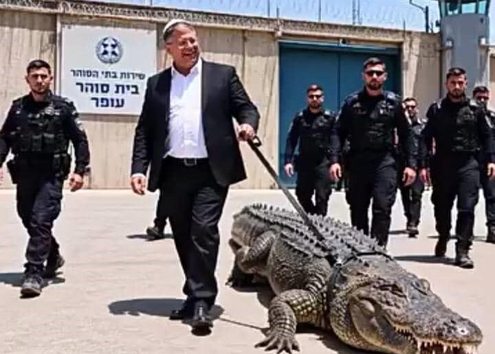 Israël : Le gouvernement autorise l'élevage de crocodiles à des fins pénitentiaires