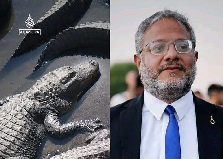 Israël : un tribunal suspend le projet de Ben Gvir d'installer des crocodiles autour d'une prison