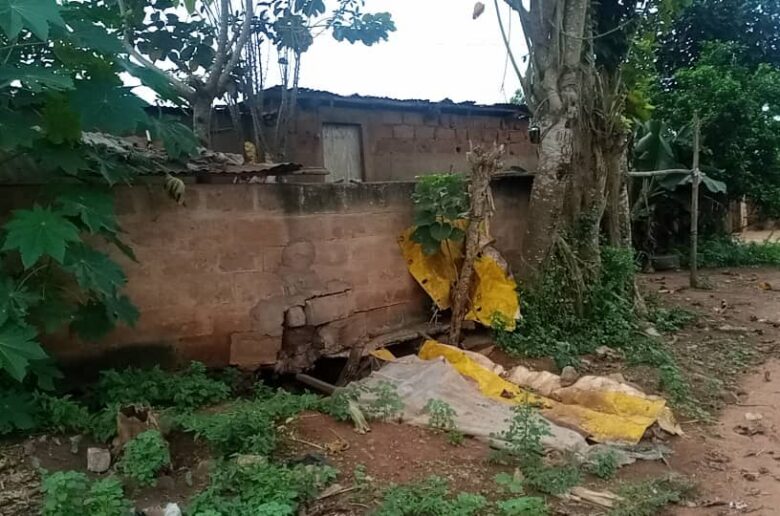 Nuisance olfactive à Allada : Une porcherie empoisonne le quotidien des riverains