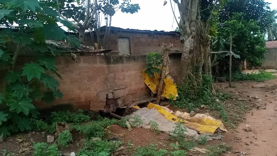 Nuisance olfactive à Allada : Une porcherie empoisonne le quotidien des riverains